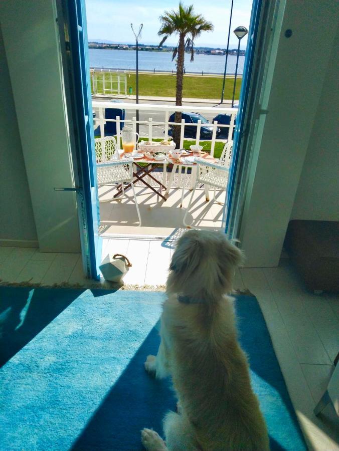 M Costa Nova Villa Екстериор снимка